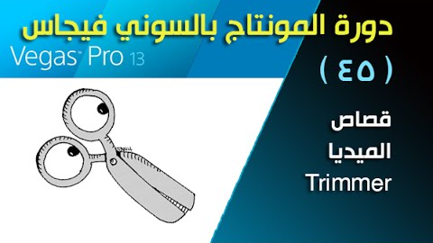 فيغاس برو Vegas pro