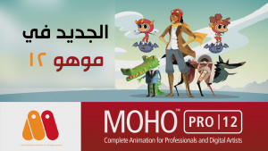 NEW Moho Pro 12 Features