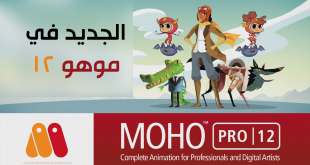 NEW Moho Pro 12 Features