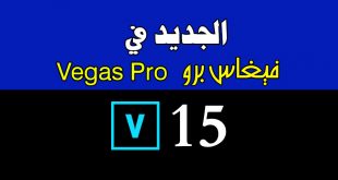 فيغاس برو 15