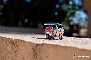 التصوير المنمنم miniature photography