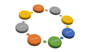 أنواع الذكاء الثمانية