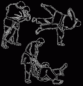 حركة هراي جوشي HaraiGoshi