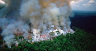 حرائق غابات الأمازون