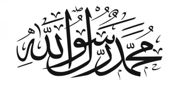 ديوان السيرة المحمدية | أحمد السيد