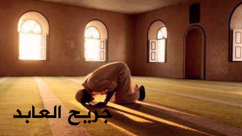 جريح عابد