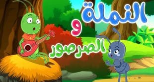 أغنية النملة والصرصور