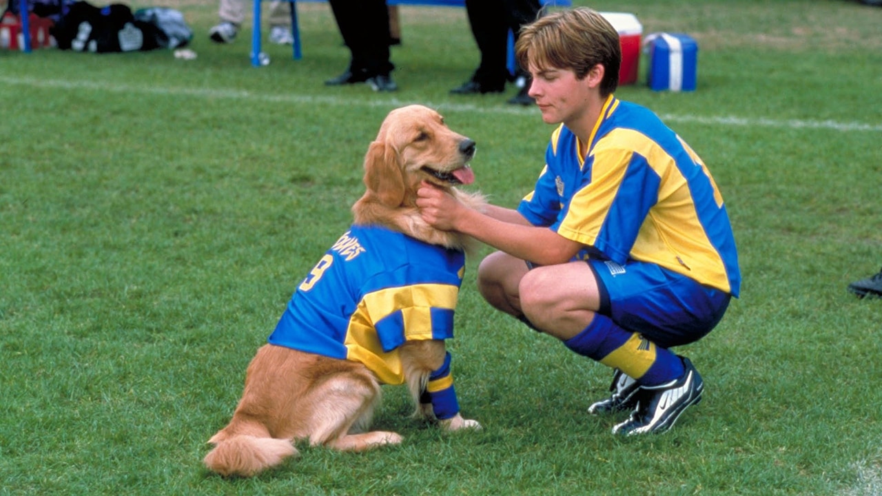 Air Bud: World Pupفيلم (2001)
