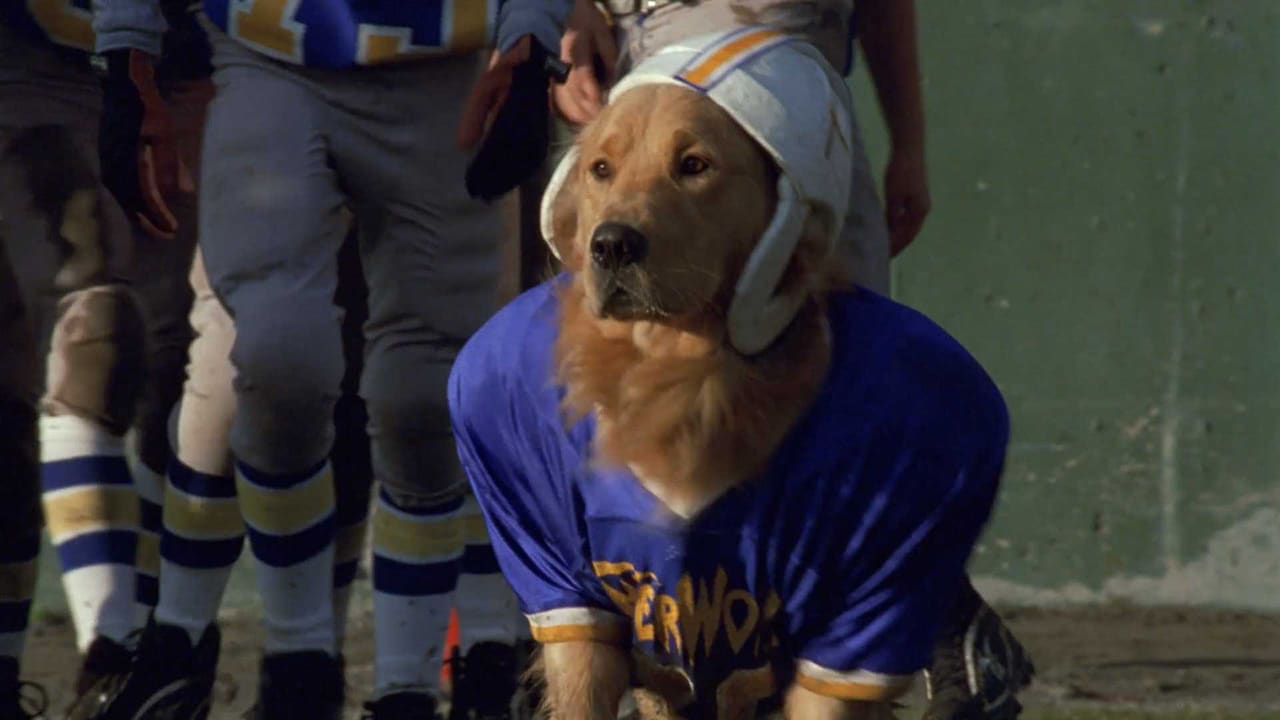 فيلم air bud
