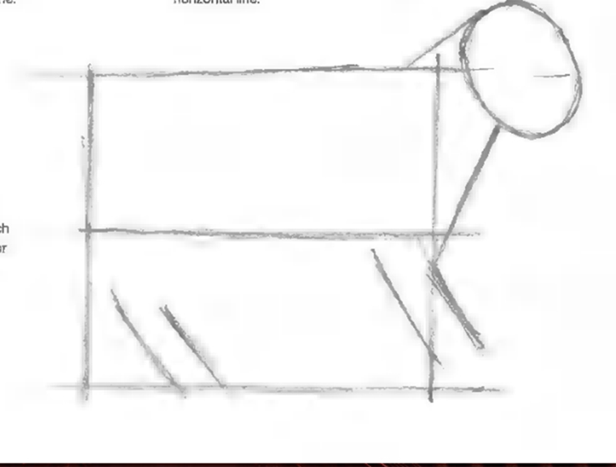 أضف للرسم خطوطاً