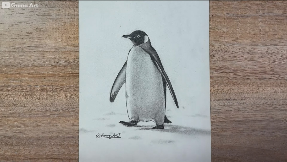 رسم بطريق