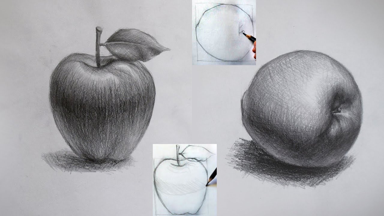 رسم التفاح