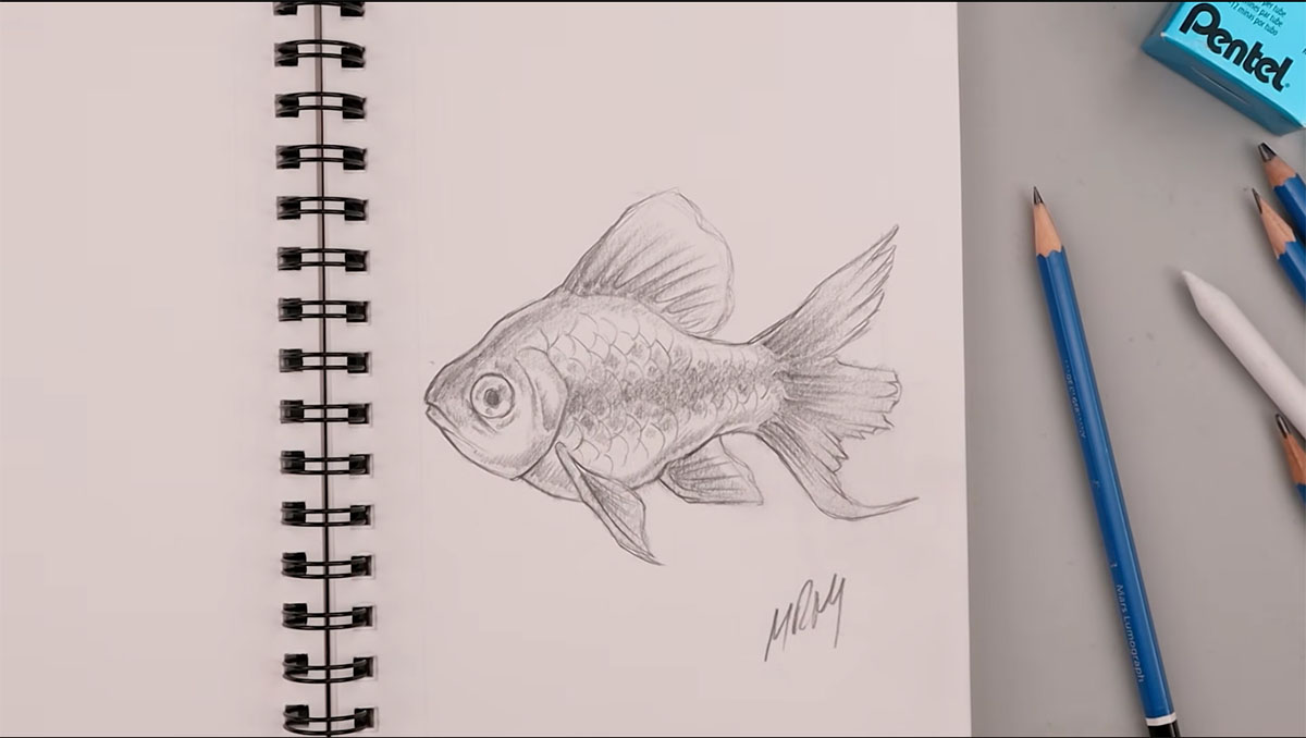 رسم سمكة
