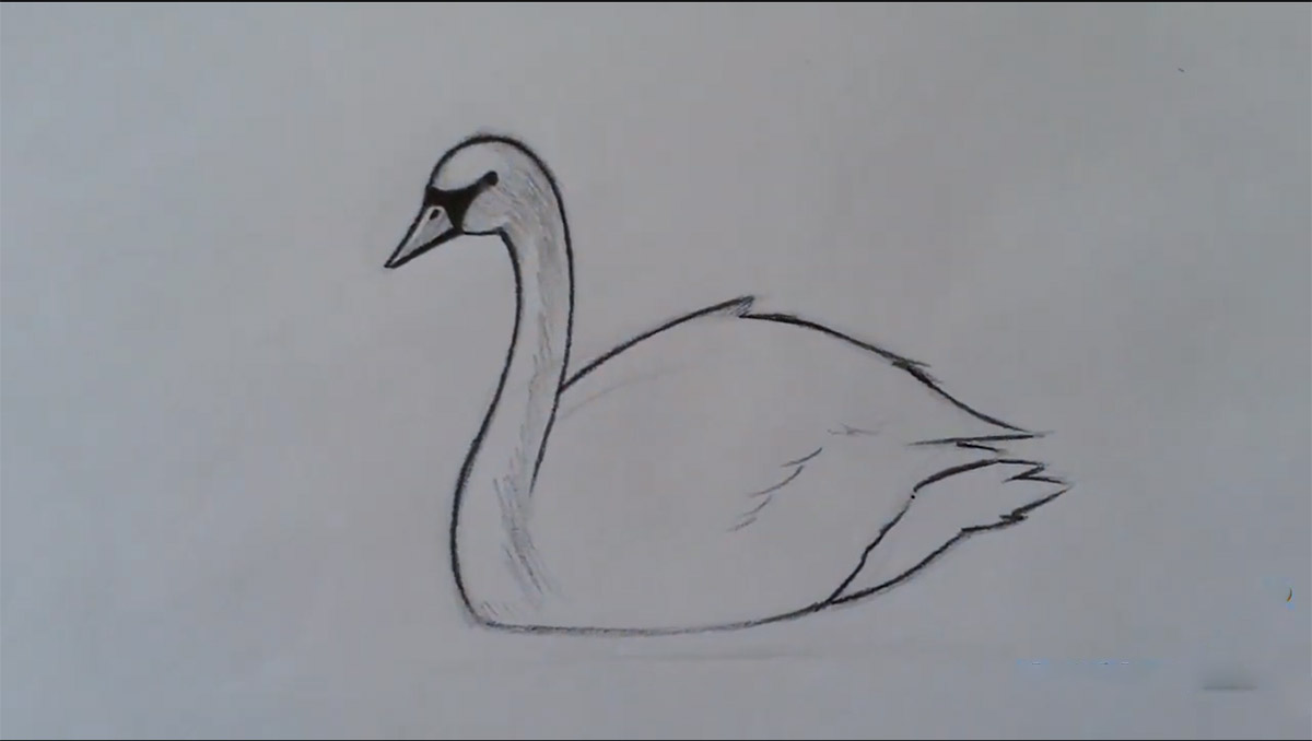 تعلم رسم الأوزة 