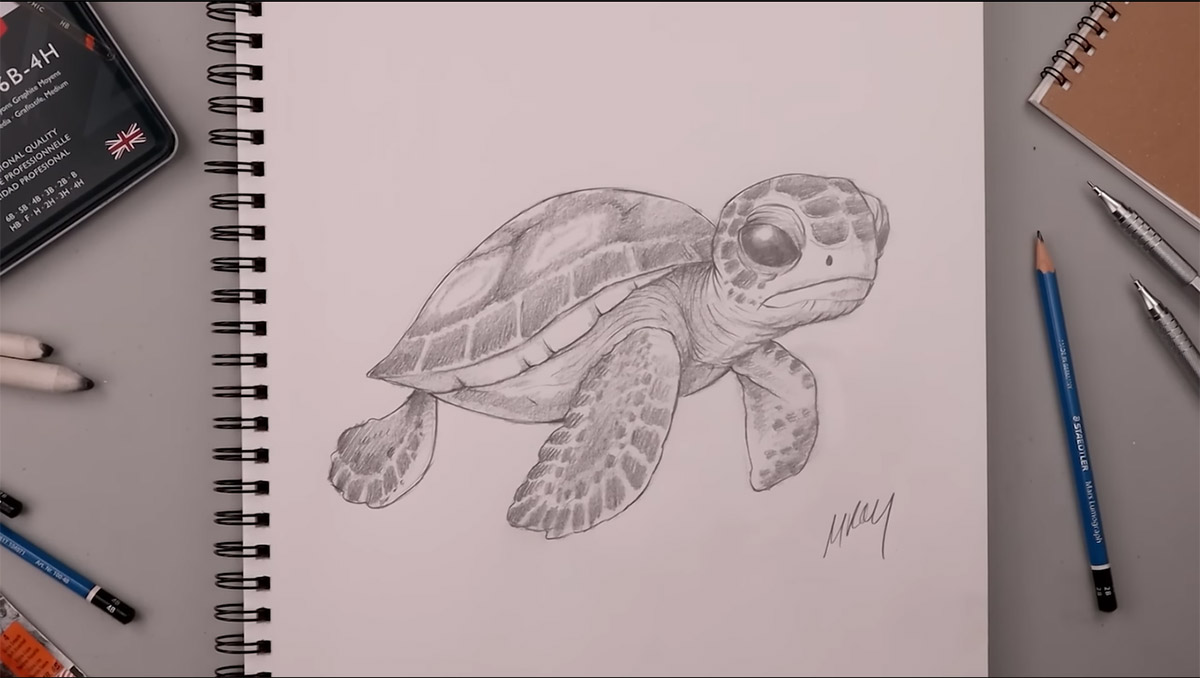 رسم السلحفاة البحرية