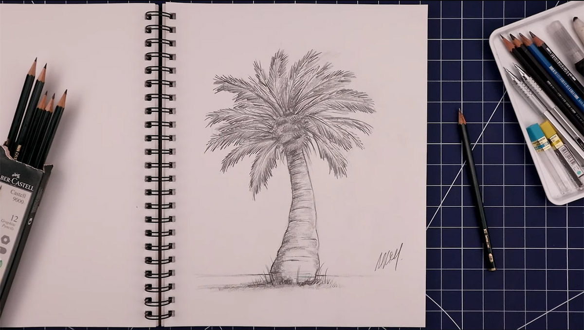 رسم النخلة