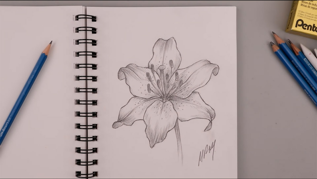 رسم الورود