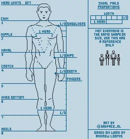 الخصائص التشريحية لجسم الرجل (Male Anatomy)