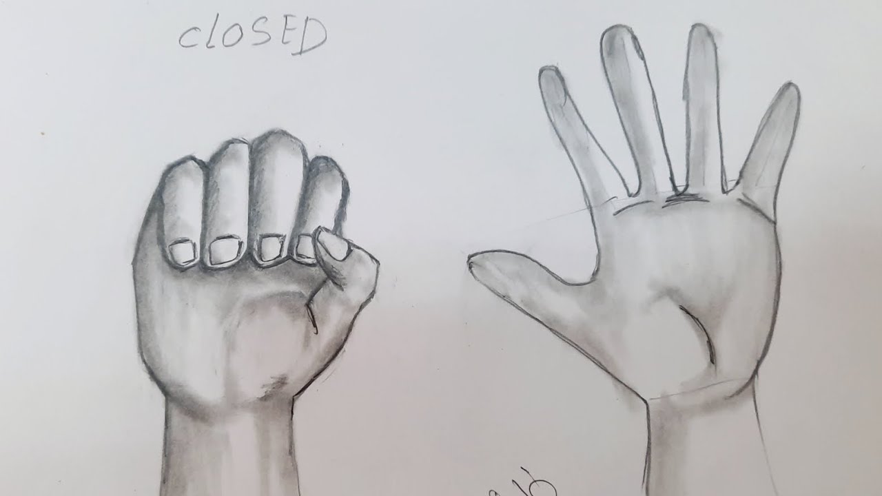 رسم الذراعين واليدين