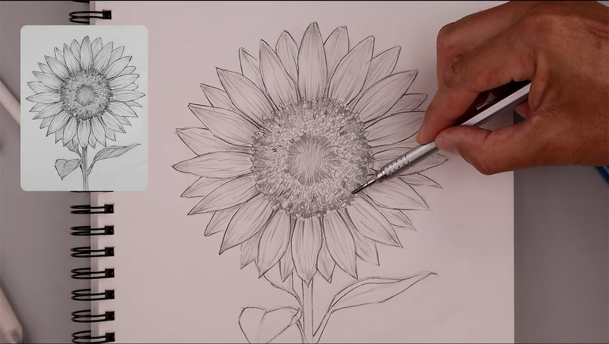 تعلم رسم عباد الشمس