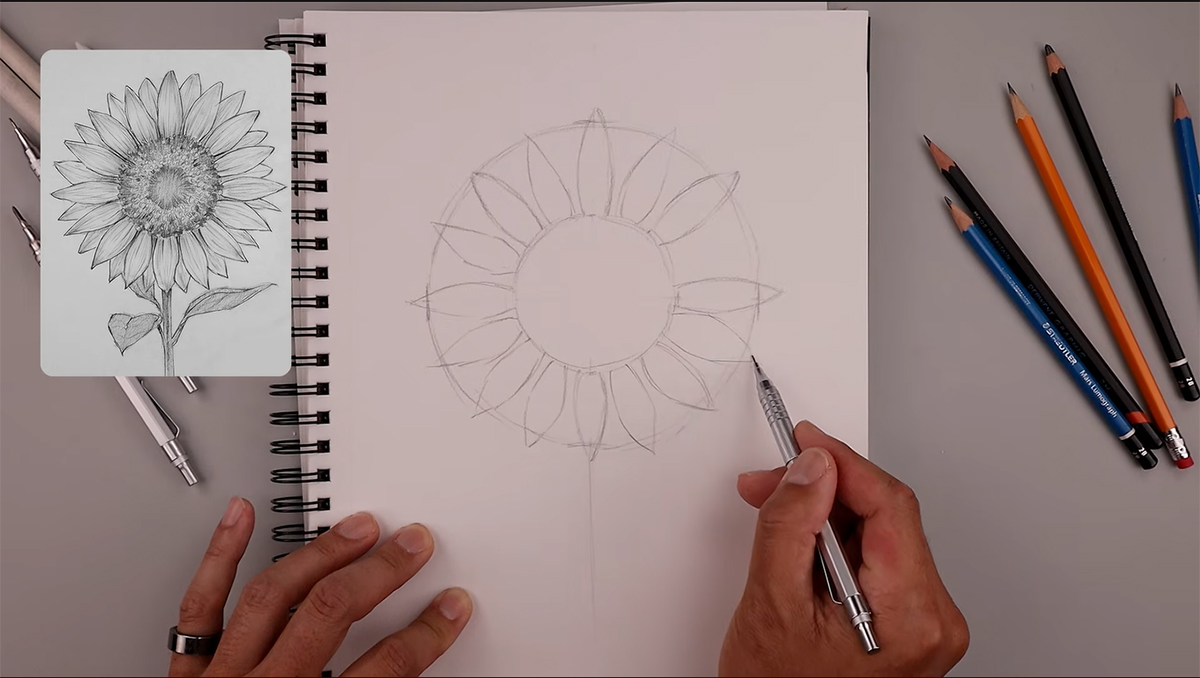 رسم عباد الشمس