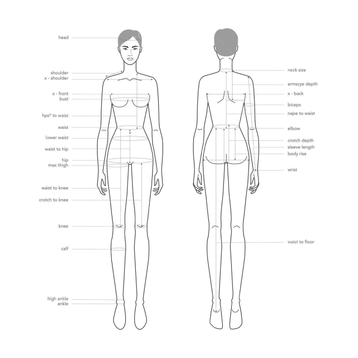 الخصائص التشريحية لجسم الأنثى (Female Anatomy)
