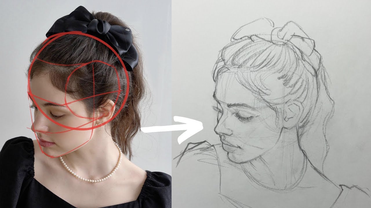 قواعد رسم تفصيلي لأنثى من مختلف الزوايا